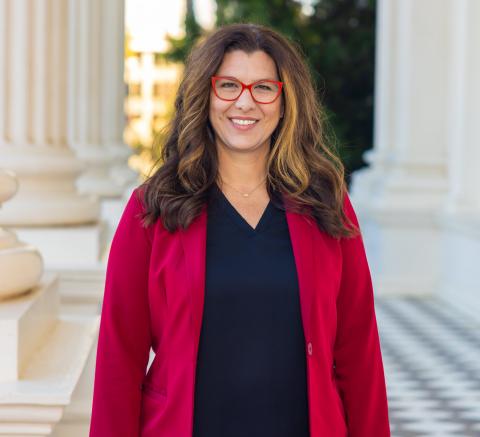 Assembly Member Megan Dahle, Vice Chair